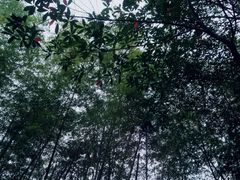 -咸宁太乙国际温泉度假村