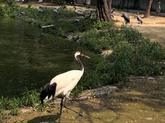 -秦皇岛野生动物园
