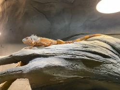 -Zoolung Zoolung动物主题公园(海信广场店)