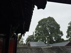-青城山