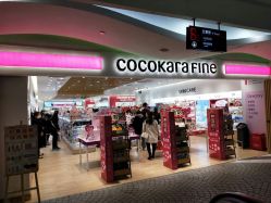 -cocokarafine可开嘉来