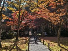 -三千院