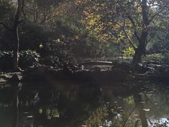 -杭州黄龙洞