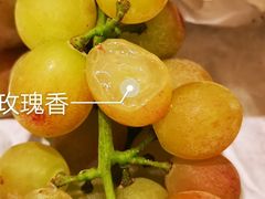 -马陆小张葡萄园农家乐