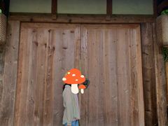 -桤木河湿地公园