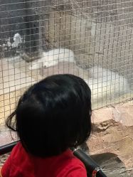 -酷嗒动物文化乐园(cutezoo西溪乐天城店)