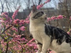 -炼呗运动康复·健身工作室(紫竹桥店)