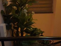 -怡泰SPA·泰疗按摩(徽宁路店)