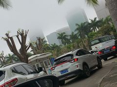 -万绿园
