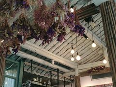 -喵屿·大理花园猫咖