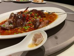 野生红瓜子斑-皇朝会.经典传统粤菜(外滩店)