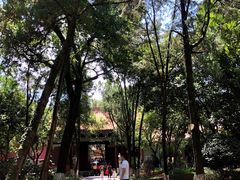 -南岳衡山风景名胜区-南岳大庙