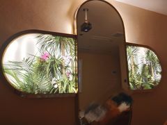 -遇见时尚足浴·SPA(五路口万达店)