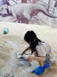 -恐龙探索乐园(磁器口店)