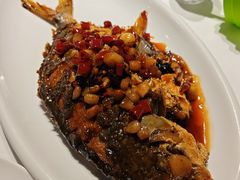 -金春禧(和谐广场店)