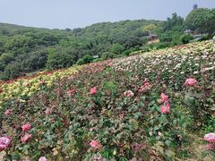 -龙寺生态园