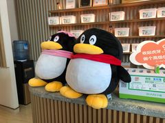 -中间带医疗(成都旗舰店)