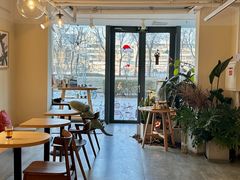 -Dinoo 片场咖啡(酒仙桥店)