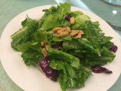 麻酱油麦菜-文杏酒楼(一品天下店)