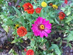 -永定河休闲森林公园