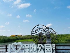 -宁波杭州湾国家湿地公园