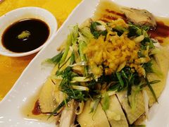 葱油淋鸡-粤·向群饭店(泮塘路店)