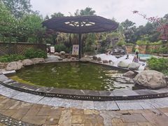 -雅安楠水阁温泉酒店