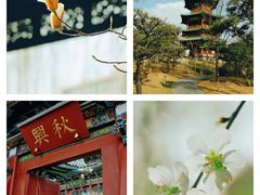 -迎泽公园