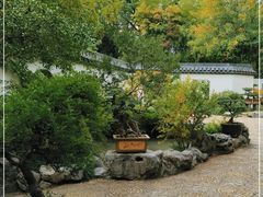 -上海醉白池公园