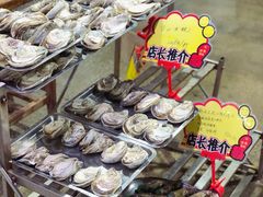 -蚝专家(北滘店)