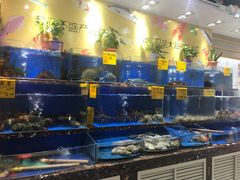 -河马鲜生海鲜超市(风荷园店)