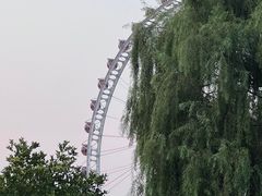 -北京石景山游乐园