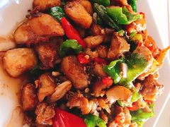 -煲来饱去冷水鱼