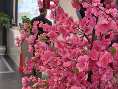 -名善山珍·野生菌汤锅(文殊院店)