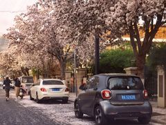 -天津五大道文化旅游区