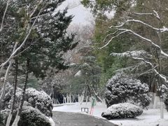 -大蜀山国家森林公园