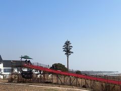-苏州太湖湖滨国家湿地公园