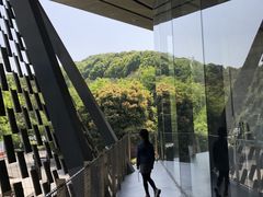 -知美术馆