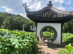 -宜兴张公洞