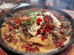 -老板恋上鱼(恒隆广场店)