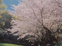 -中国茶叶博物馆(双峰馆区)