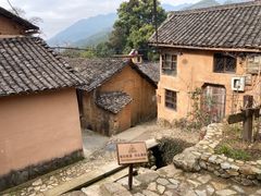 -杨家堂村