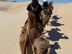 -库伦旗银沙湾旅游景区