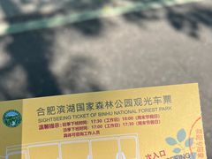 -合肥滨湖国家森林公园