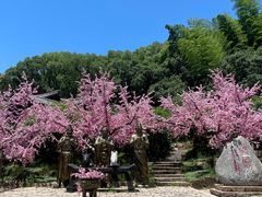 -三国水浒景区(无锡影视基地)