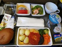 -新加坡航空公司(ION)