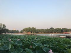 -小王府(什刹海店)