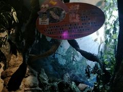 -左海海底世界