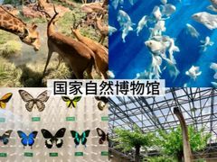 -国家自然博物馆