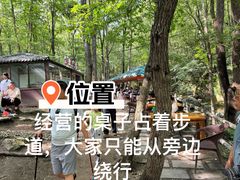 -牛背梁国家森林公园